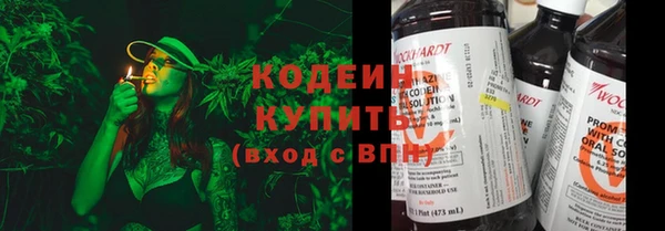 индика Аркадак