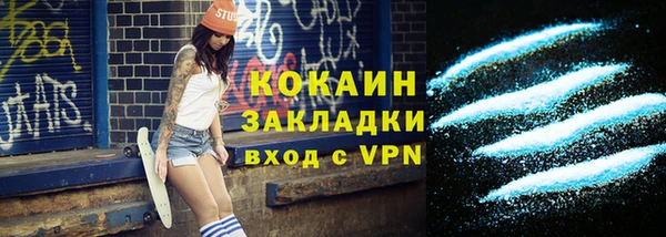 индика Аркадак