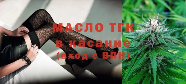 индика Аркадак