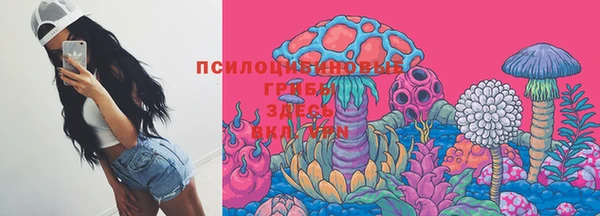 мдпв Армянск
